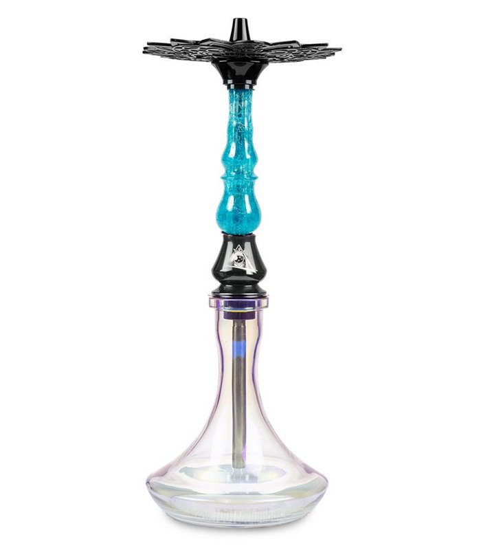 Nayb Setup - Sky Blue Tangled